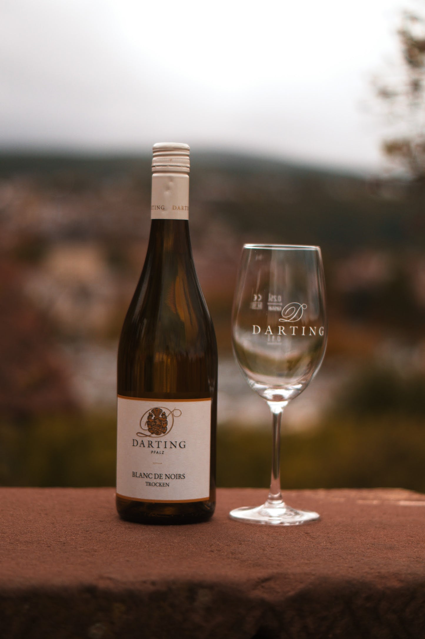 Una botella de vino blanco del tipo Blanc de Noir se encuentra a la izquierda de una copa de vino blanco vacía en una pared de arenisca. 