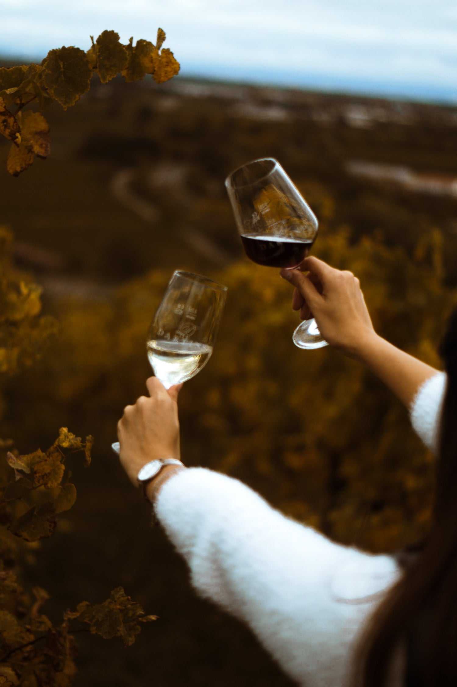 Una mujer sostiene una copa de vino blanco con vino blanco con una mano y una copa de vino tinto con vino tinto con la otra y las inclina una hacia la otra.