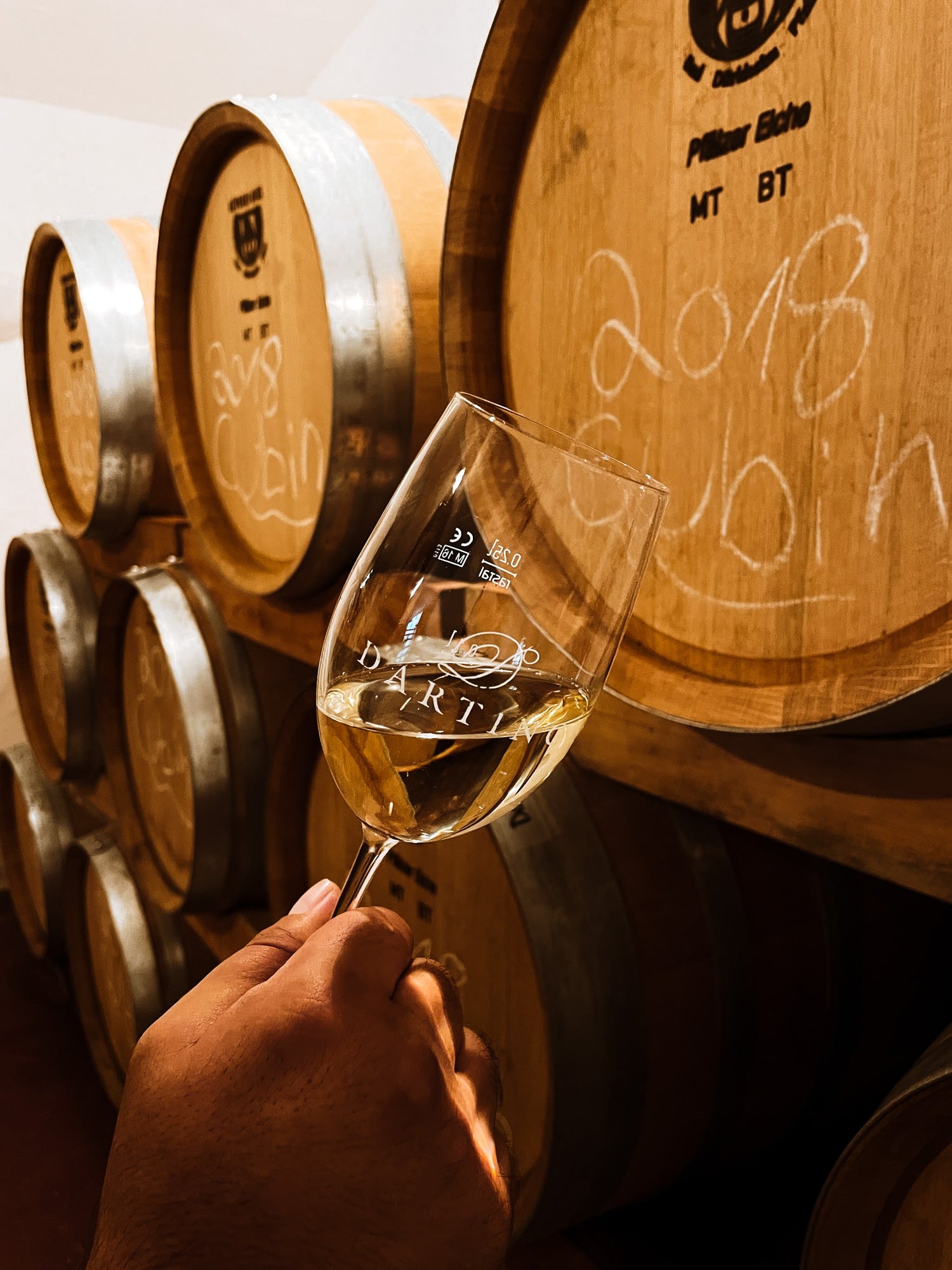 Ein halbvolles Glas Weißwein wird in einer Hand gehalten und schräg nach rechts geneigt. Im Hintergrund sind Weißweinfässerzu sehen