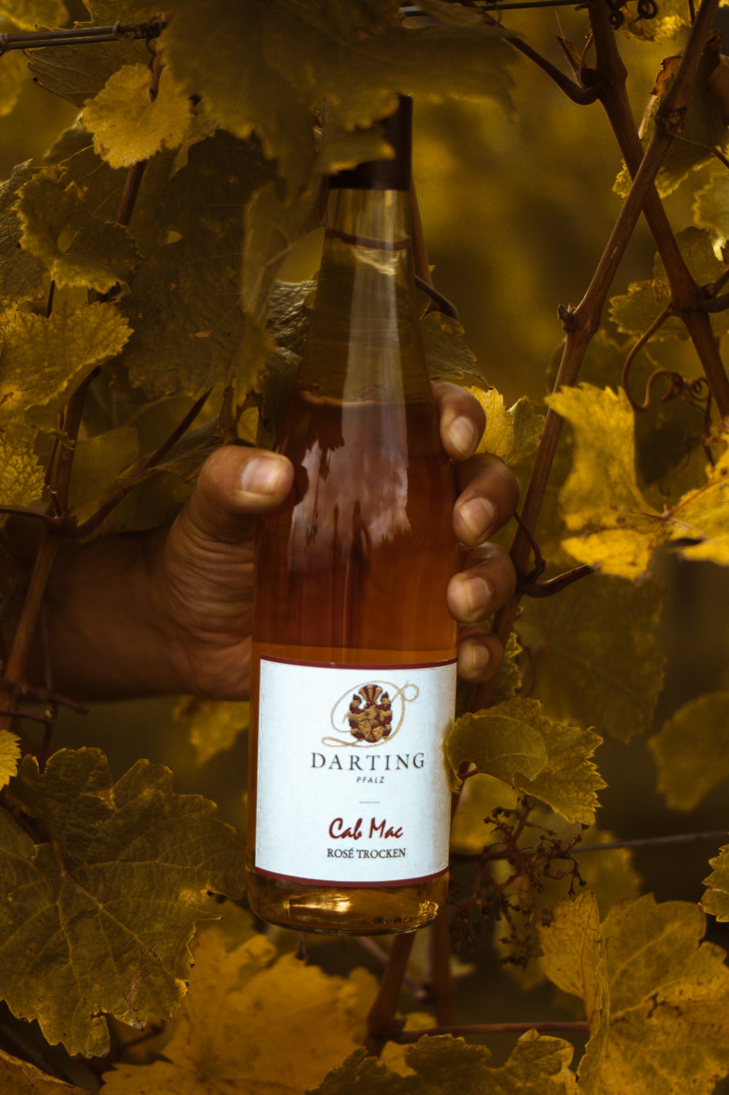 Rosécuvée Cab Mac